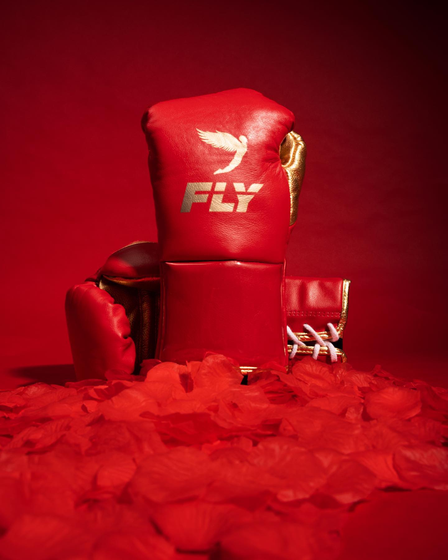 Fly Boxing Gloves Lace-Up | Red/Gold