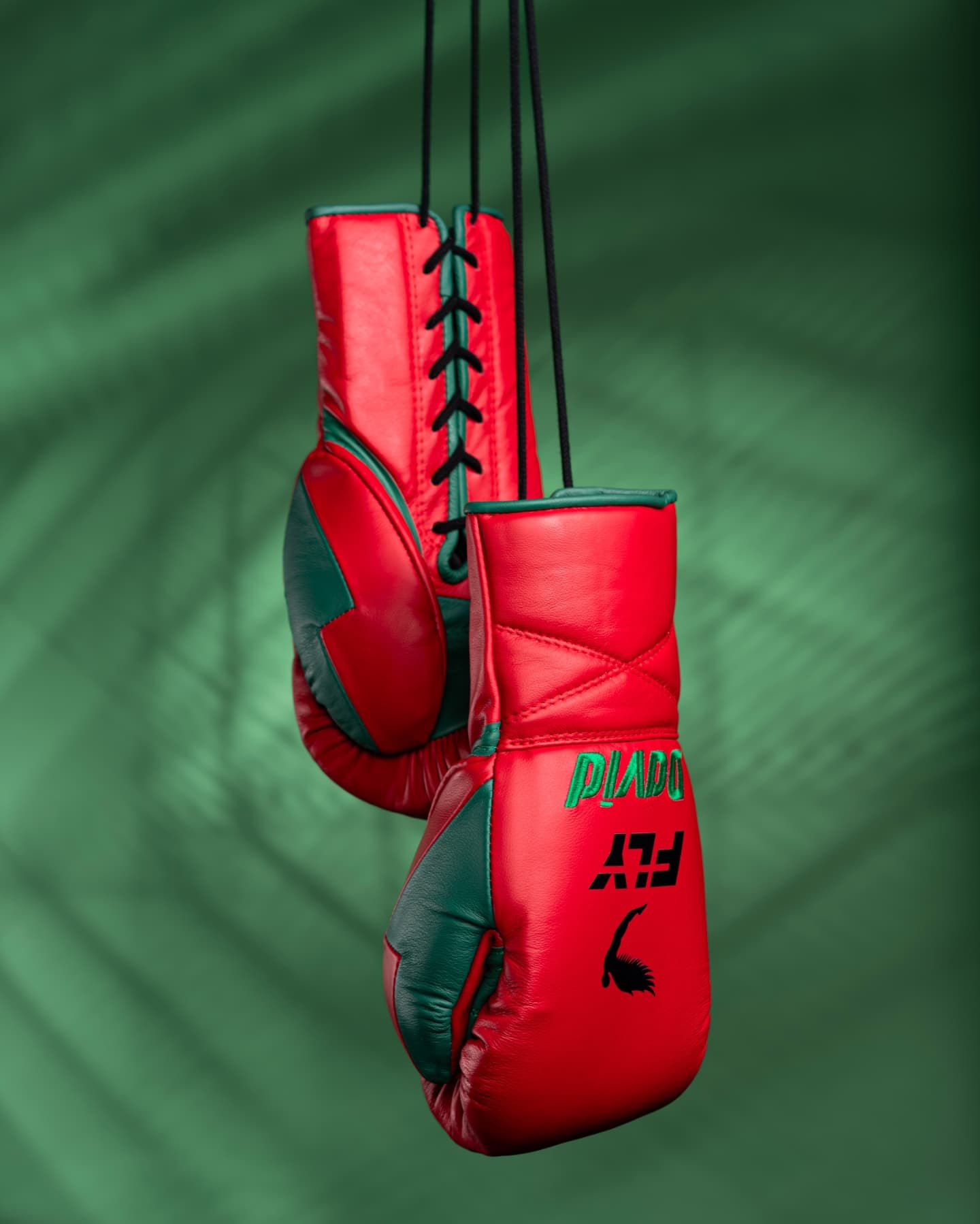 
Fly Boxing Gloves Lace-Up | Red/Green
