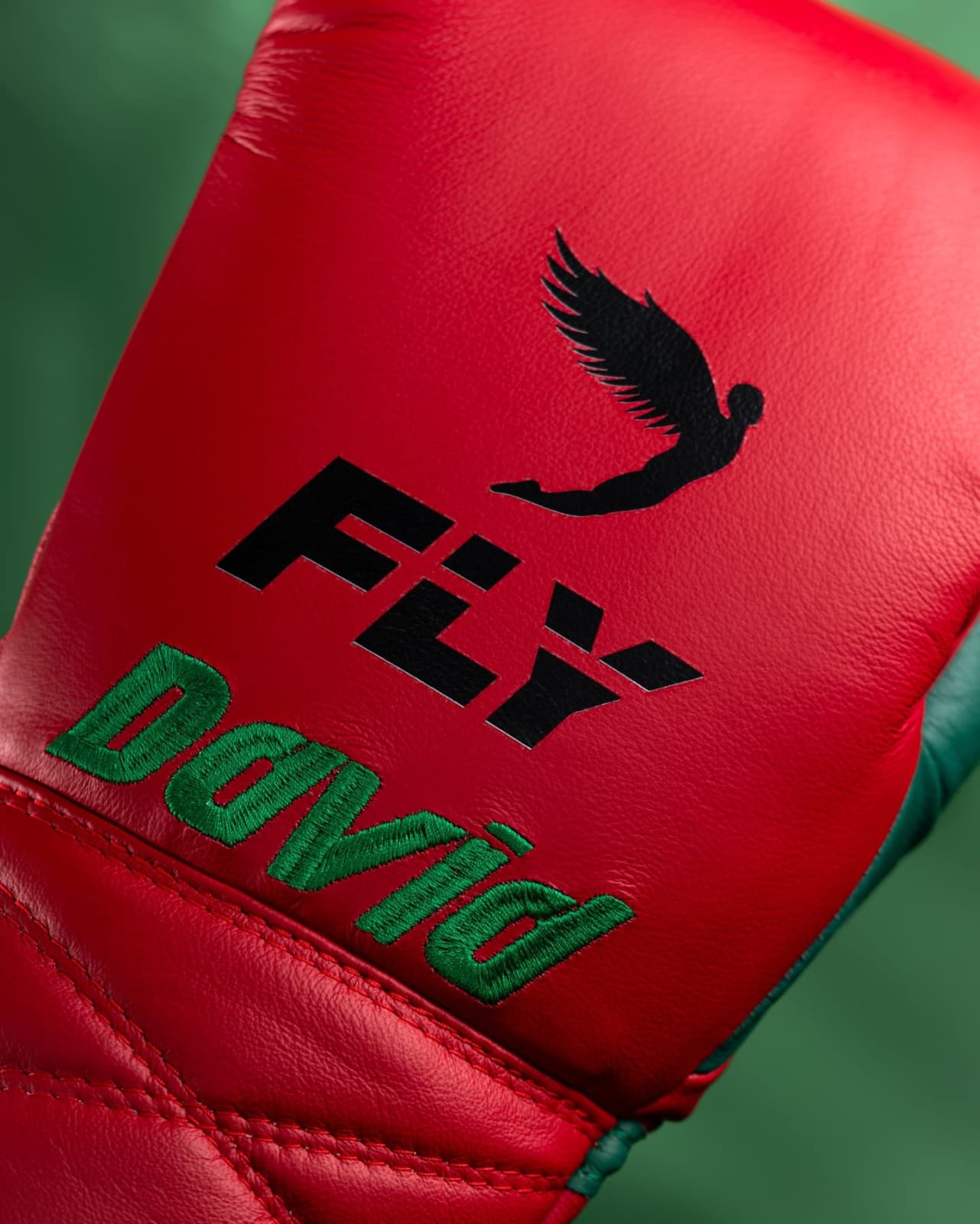 
Fly Boxing Gloves Lace-Up | Red/Green
