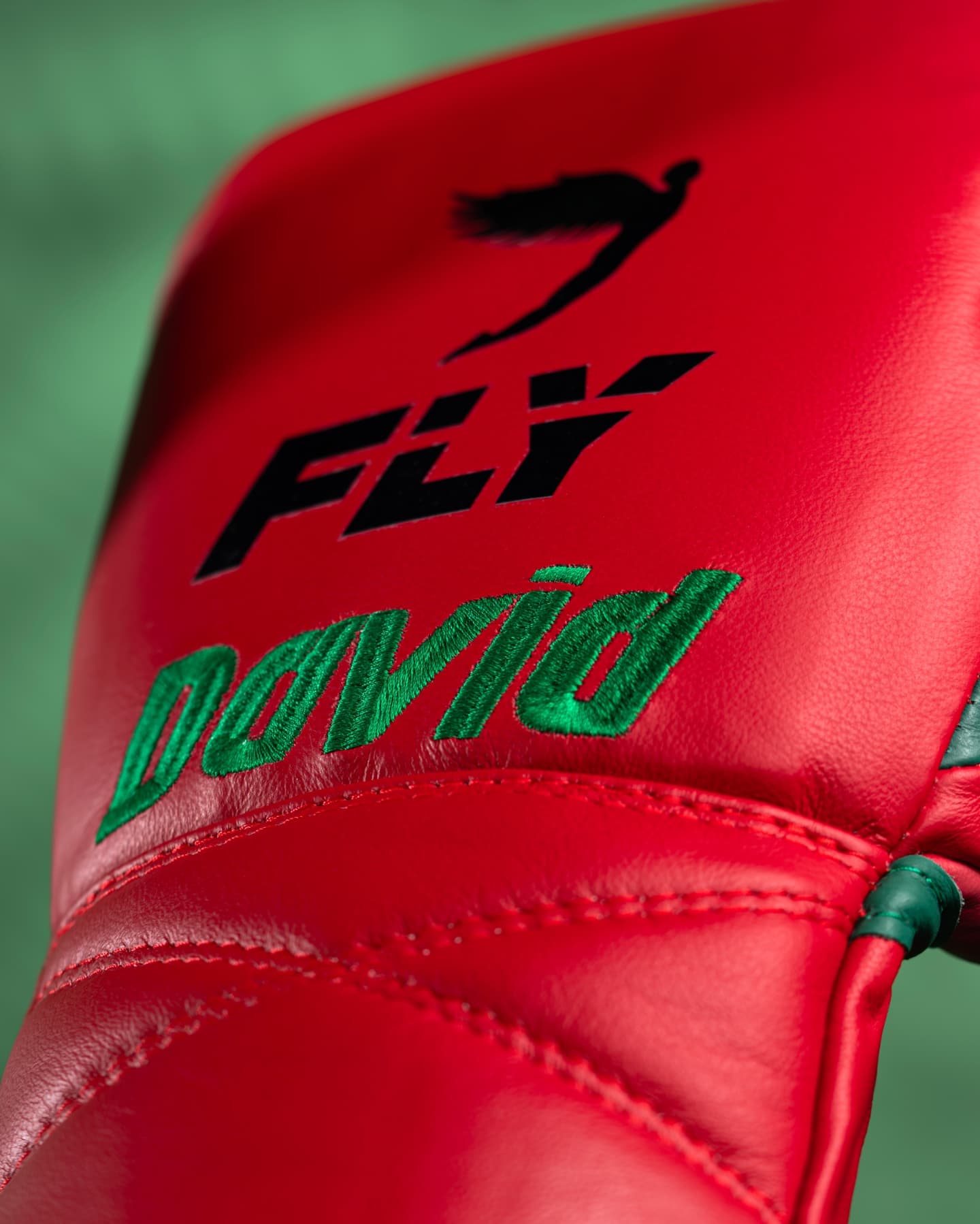
Fly Boxing Gloves Lace-Up | Red/Green
