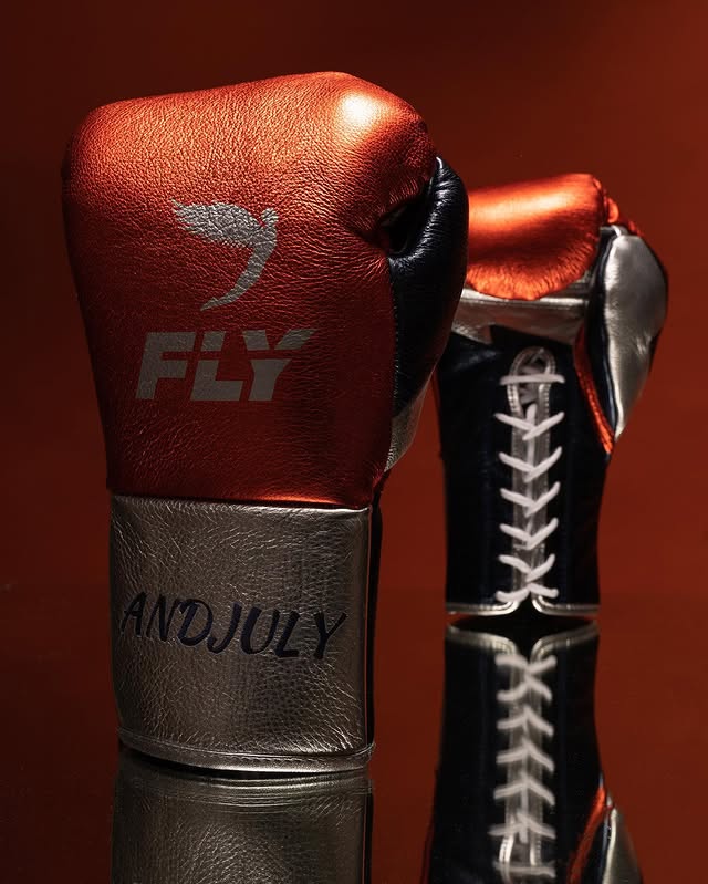 Fly Boxing Gloves Lace-Up | Red/Silver/Black