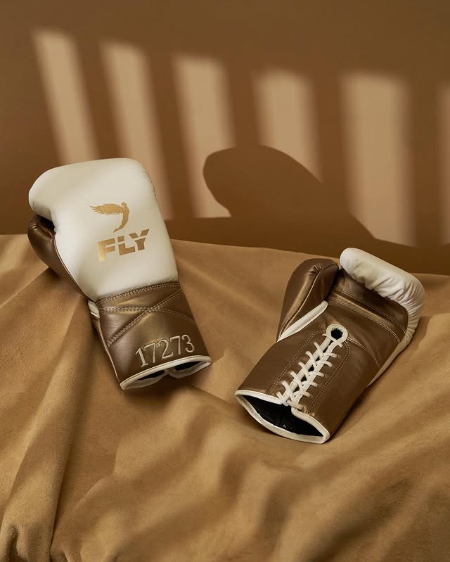 Fly Boxing Gloves Lace-Up | White/Brown/Gold