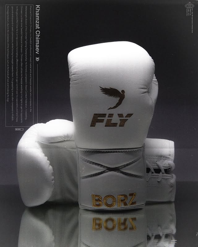 Fly Boxing Gloves White/Gold | Lace-Up
