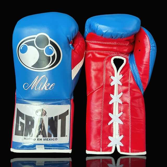 Grant 16oz Boxing Gloves Blue/Red/White front and back view Heavy Bag Training