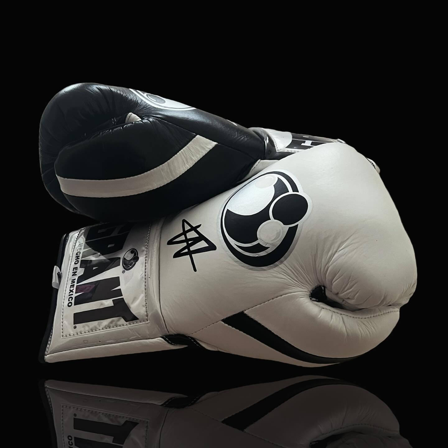 Grant Black/White Boxing Gloves Beginner Friendly Training Gloves Thumb View