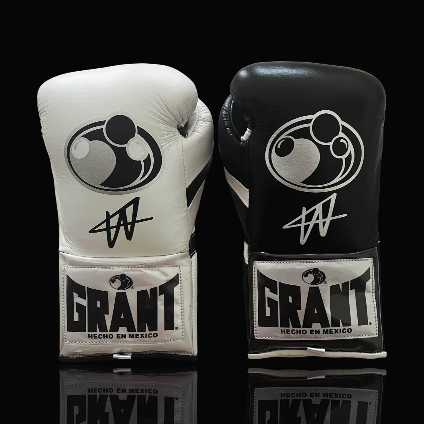 Grant Black/White Boxing Gloves Beginner Friendly Training Gloves