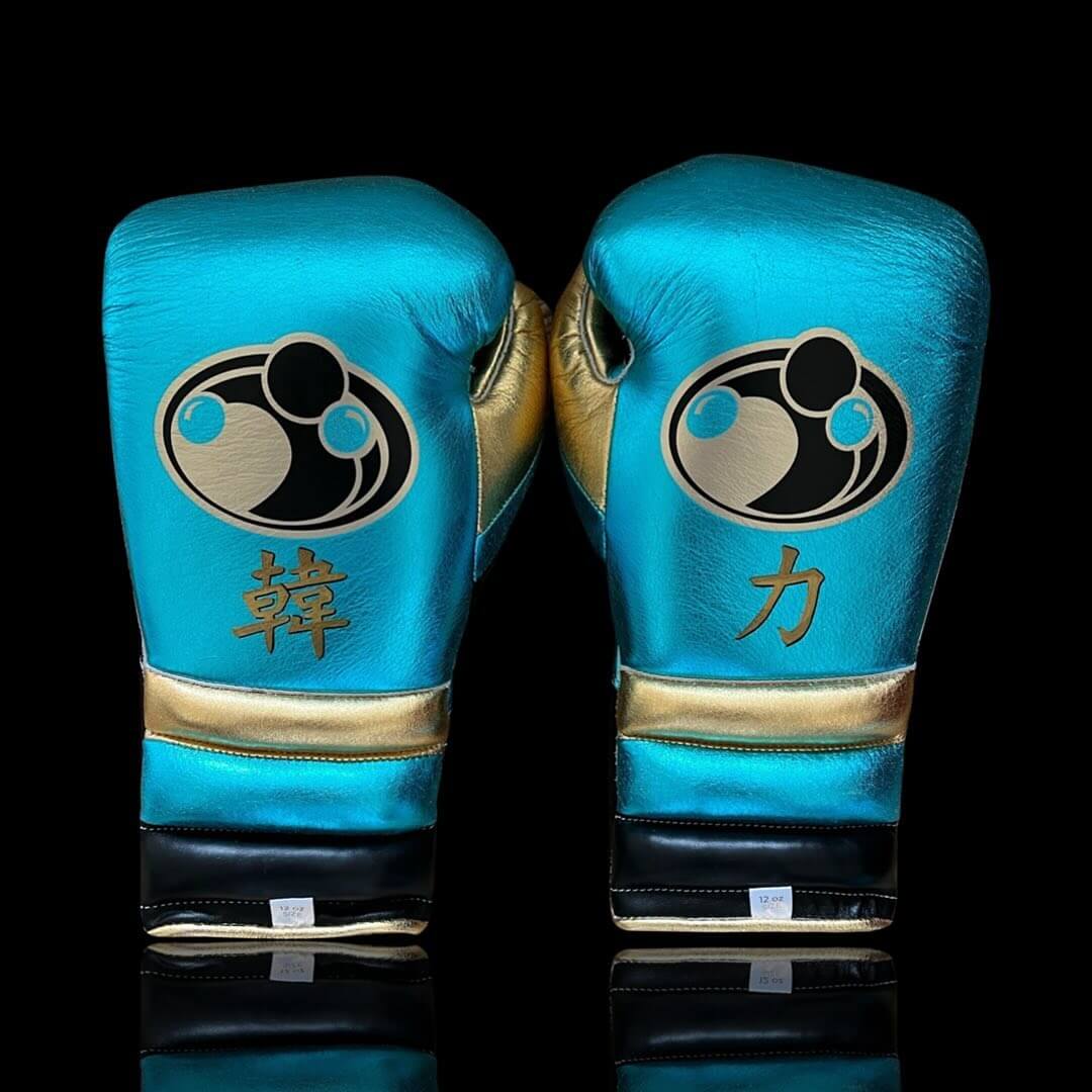 Grant Blue/Black/Gold Leather Boxing Gloves Heavy Duty Training Pair Back View