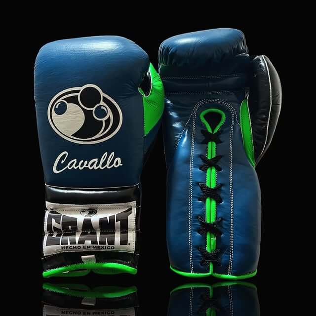 Grant Leather Boxing Set Blue/Green Gym Training Kit