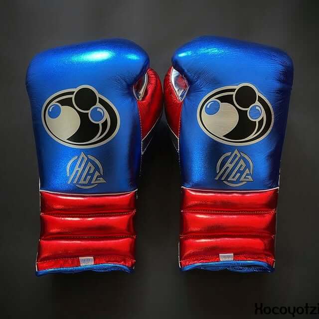 Grant Boxing Gloves Blue/Red/Silver Training Gloves Back View