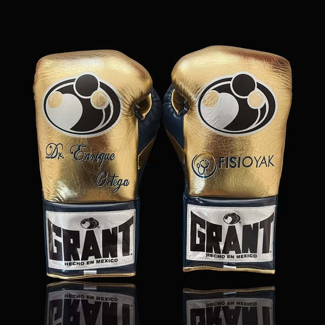 Grant Gold/Blue Boxing Set Premium Training Gloves Back View