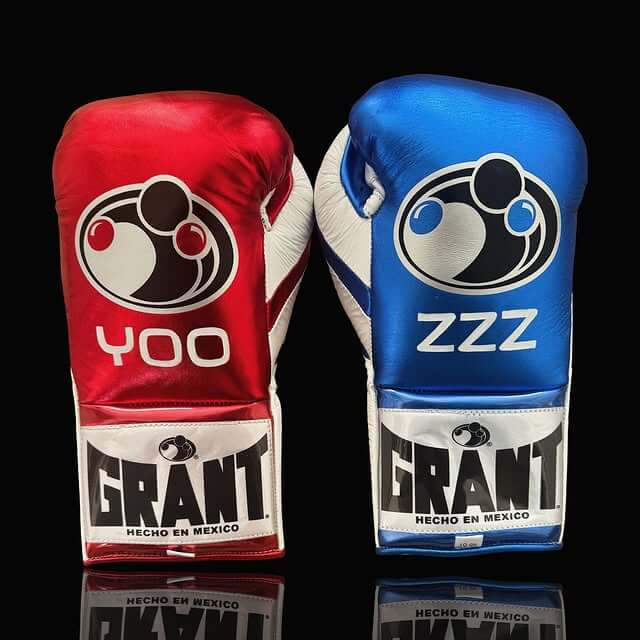 Grant Red/Blue/White Boxing Set 14oz Gloves Back View