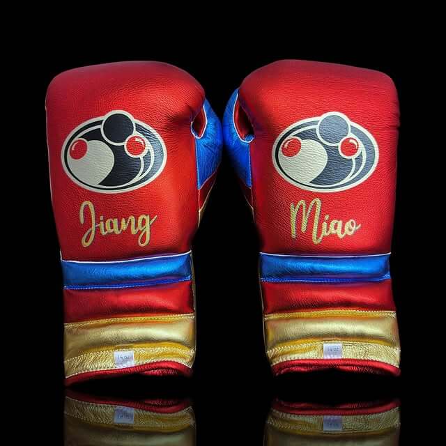 Grant Boxing Set Red/Gold/Blue Lace-Up Gloves Back View