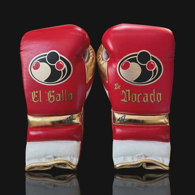Grant Red/White/Gold Red Full Boxing Set Gloves Headguard Groin Guard