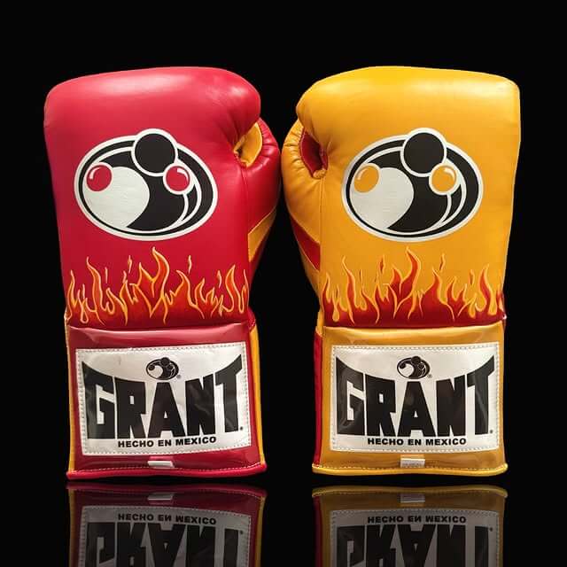 Grant Red/Yellow Leather Boxing Gloves Heavy Duty Training Pair Back View