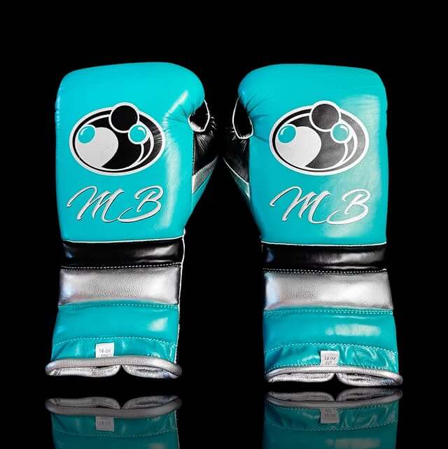 Grant Full Gear Boxing Set Sky-Blue/Black/Silver 14oz Gloves Back View