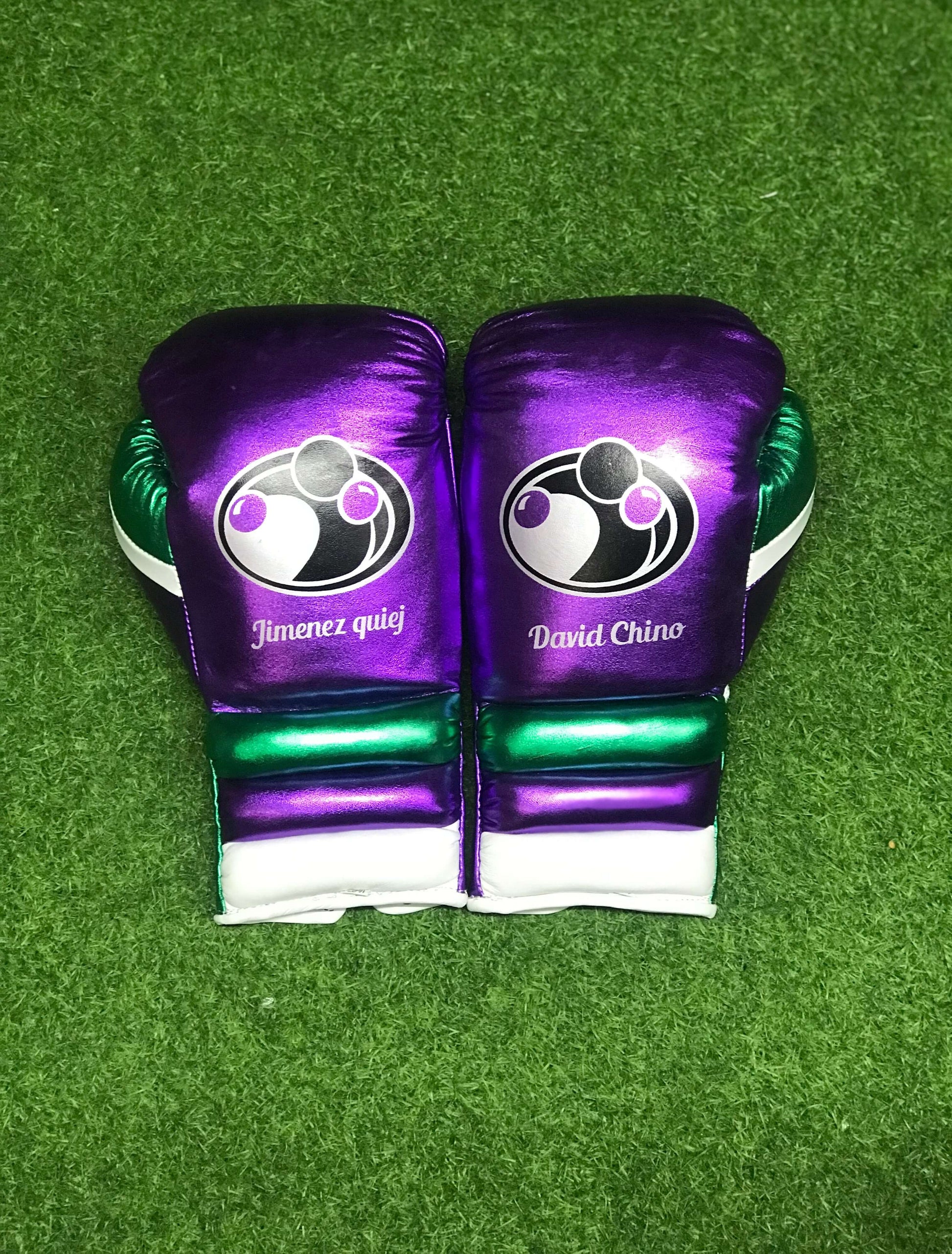 Grant Boxing Sets Purple/Green/White Padded Gloves Back View
