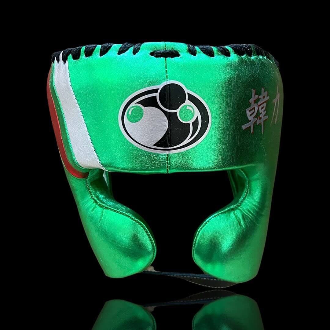 Grant Complete Boxing Set Green/Red/Silver Headguard