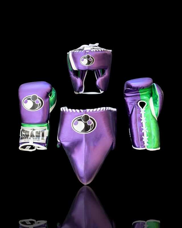 Grant Purple/Green/White Boxing Set Heavy Duty Gloves Training Collection