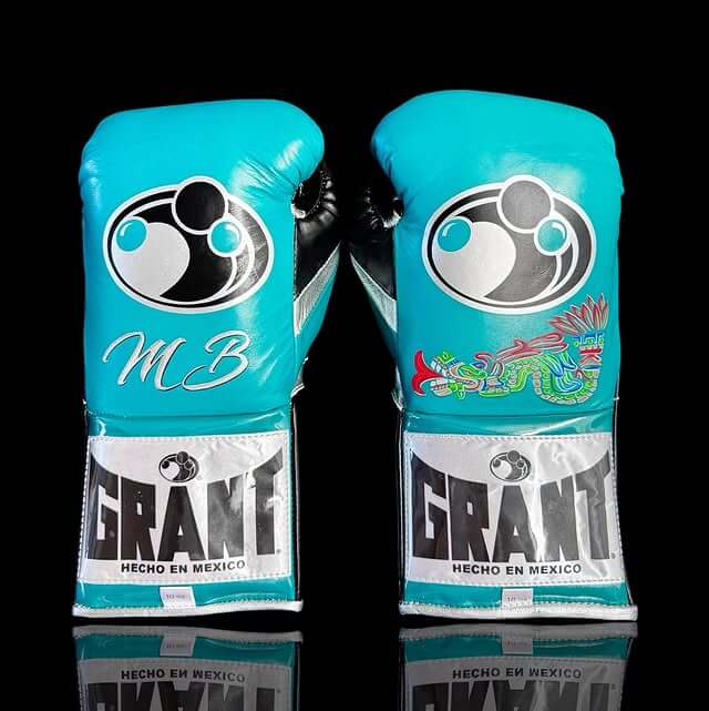 Grant Boxing Gloves Set Sky-Blue/Black/Silver Gloves Back View