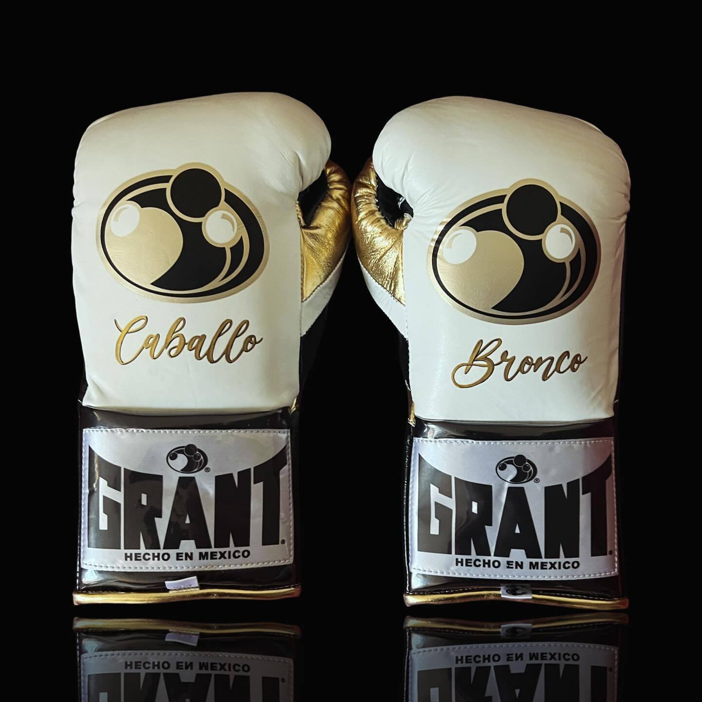 Grant Full Gear Boxing Set White/Black/Gold 14oz Gloves Back View