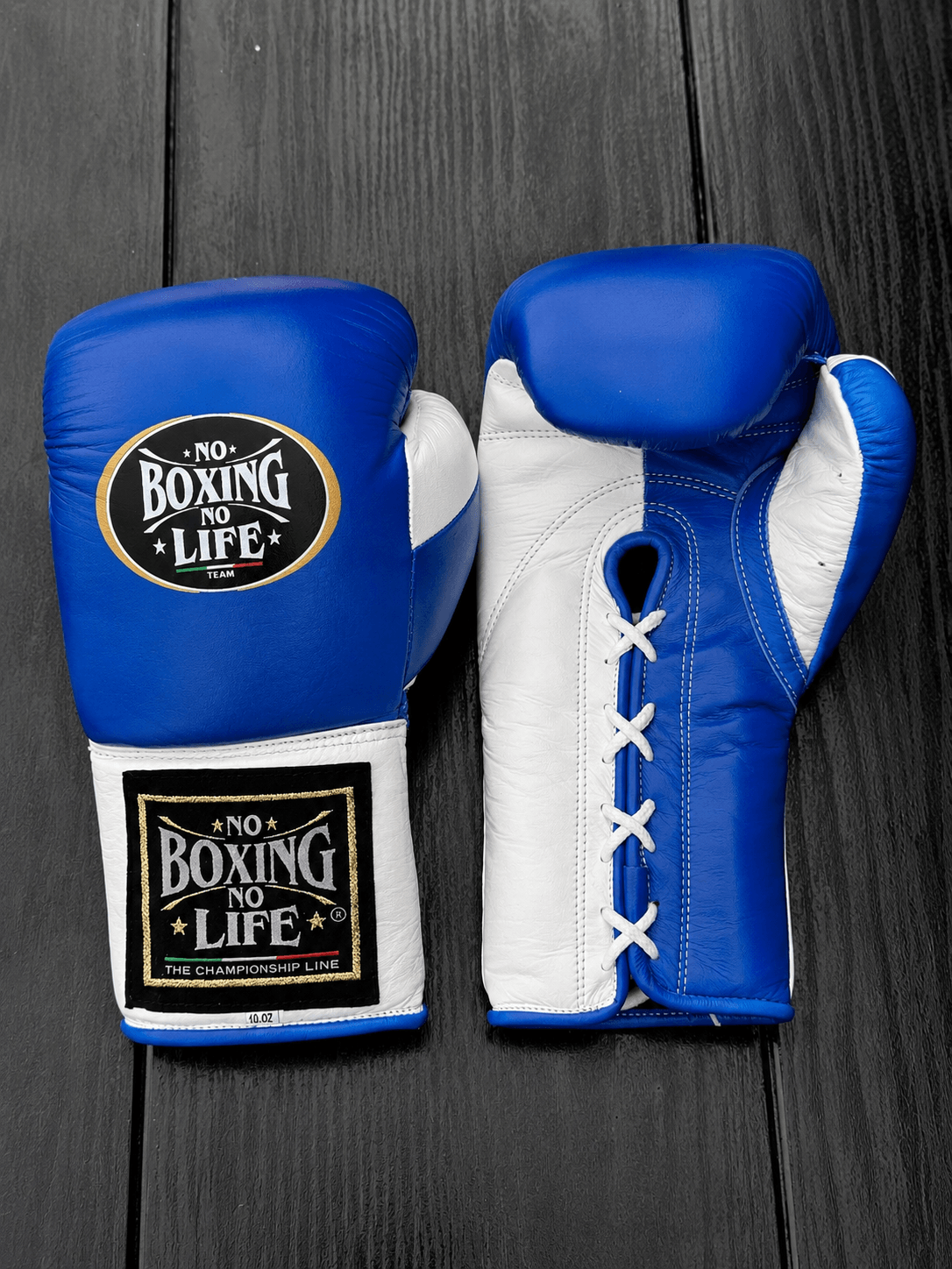 No Boxing No Life Inspired Budget Gloves Blue/White Full Customization