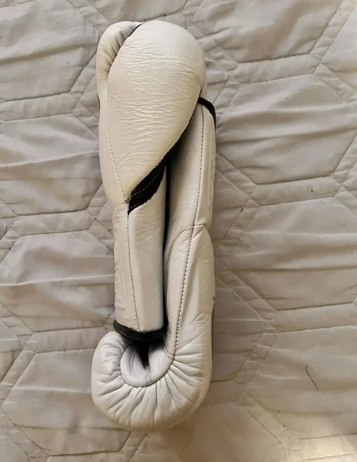No Boxing No Life Beige Boxing Gloves Premium Gym Training Pair Side View