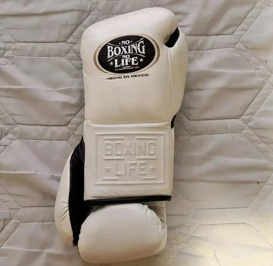 No Boxing No Life Beige Boxing Gloves Premium Gym Training Pair