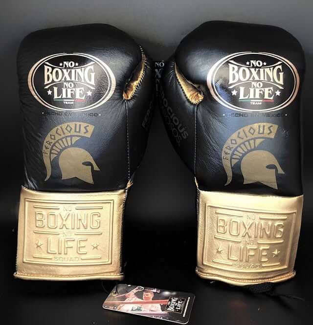 No Boxing No Life Black/Gold Boxing Gloves Custom Fit Gym Training Back View