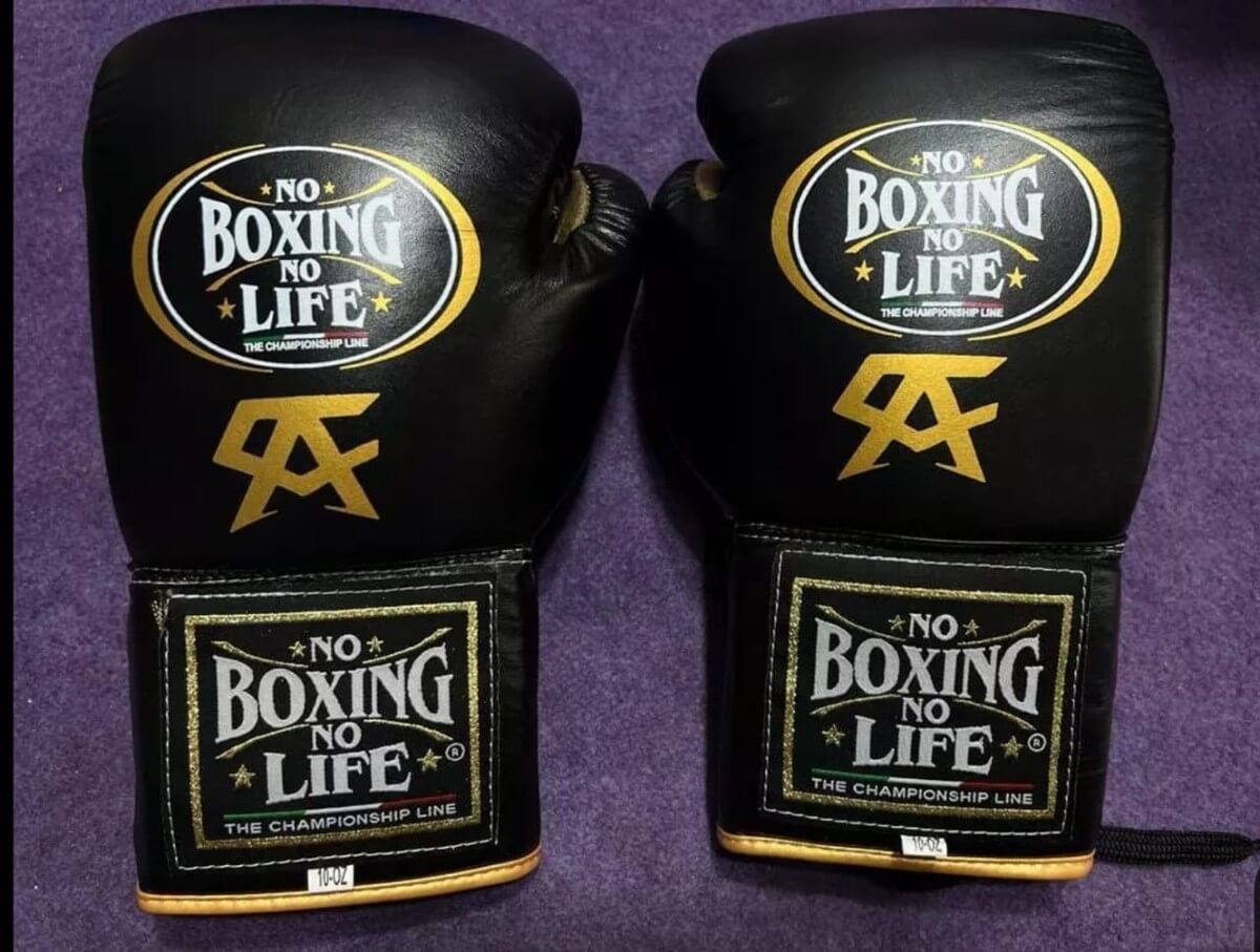 No Boxing No Life Black/Gold Leather Boxing Gloves Custom Fit Training
