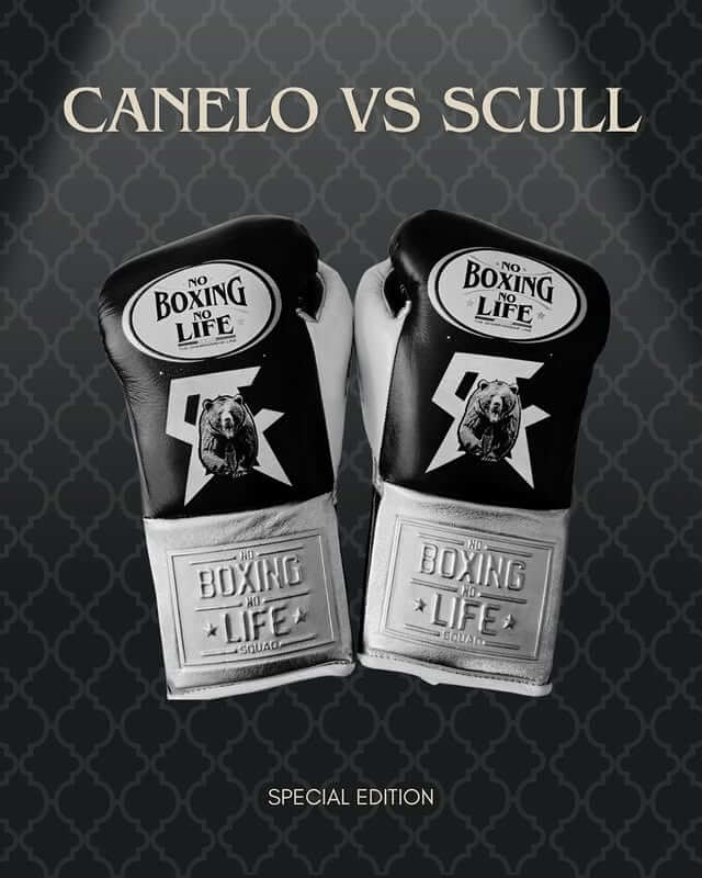 No Boxing No Life Black/White Boxing Gloves Premium Leather Training Pair