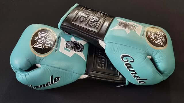 No Boxing No Life Blue/Black 14oz Boxing Gloves Custom Sparring Gloves Side View