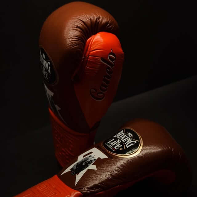 No Boxing No Life Brown/Orange Boxing Gloves Premium Gym Training Pair Thumb View