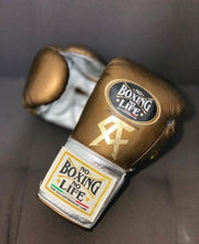 No Boxing No Life Brown/Silver Boxing Gloves Durable Sparring Gloves Back View