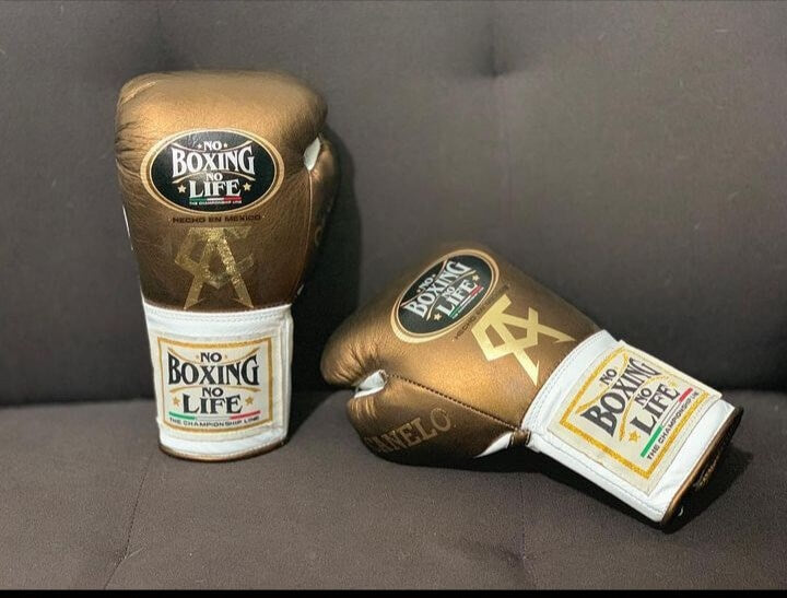 No Boxing No Life Brown/Silver Boxing Gloves Durable Sparring Gloves