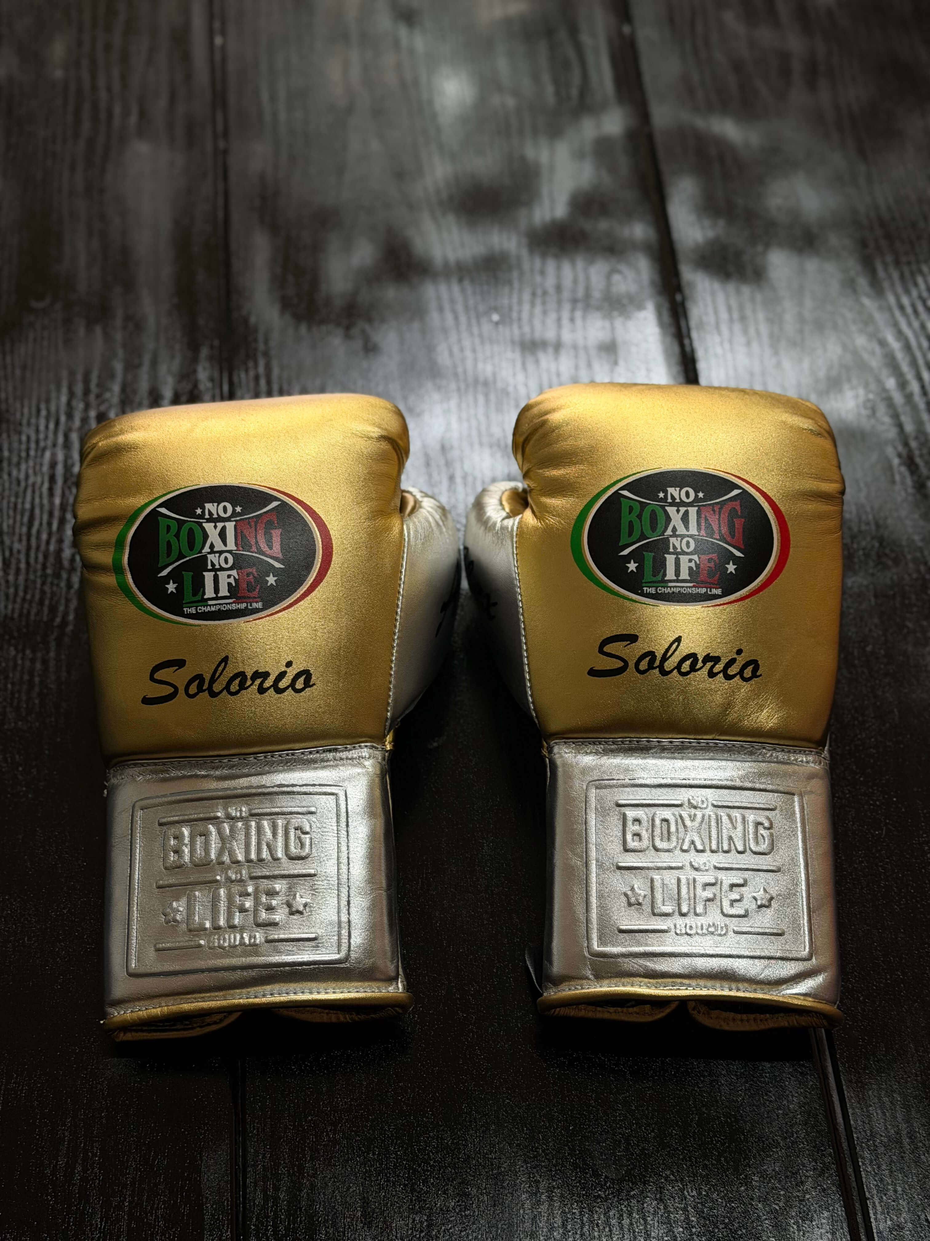 No Boxing No Life Gloves Gold/Silver Leather Training Gloves Back View