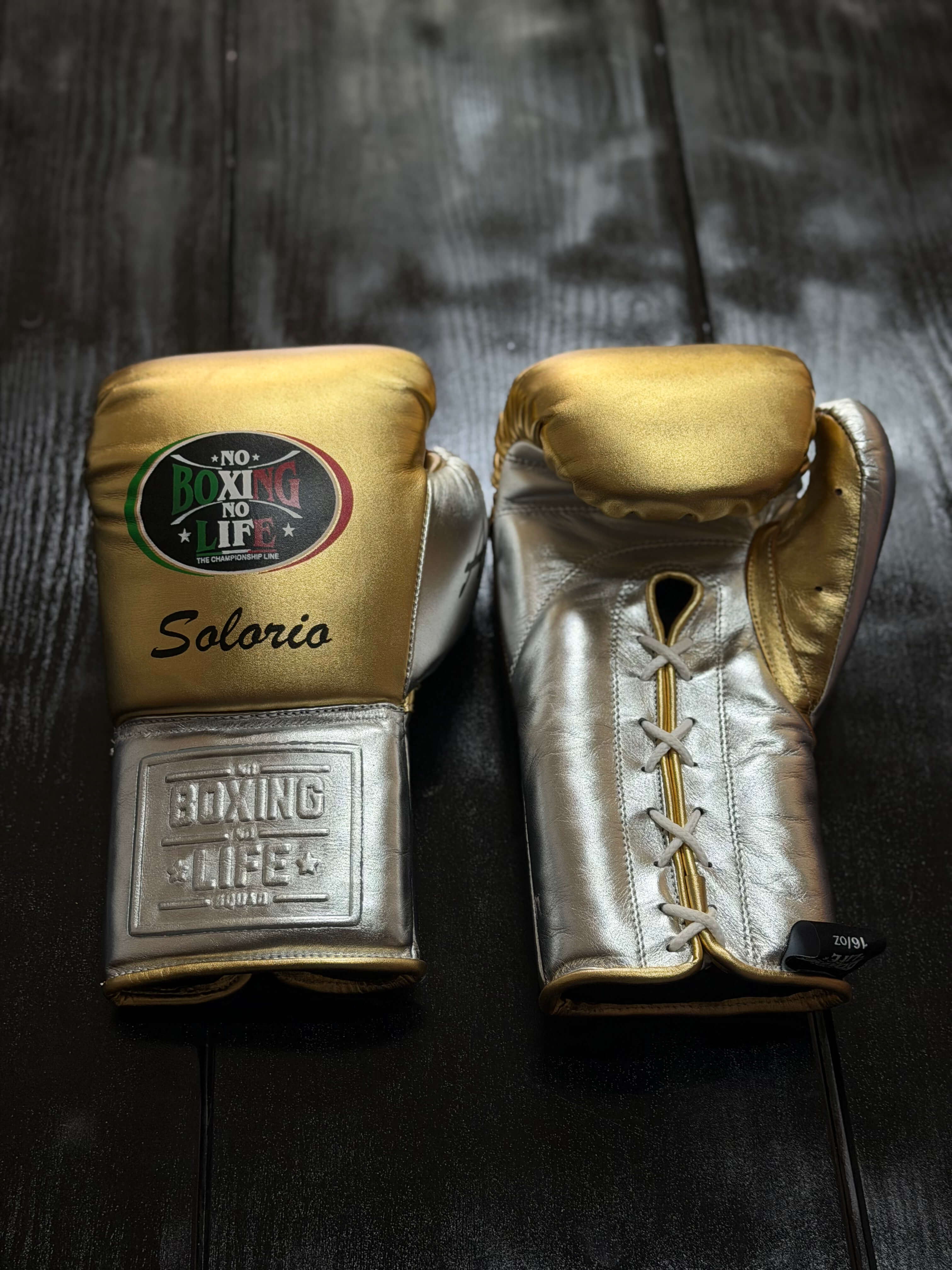 No Boxing No Life Gloves Gold/Silver Leather Training Gloves Front View