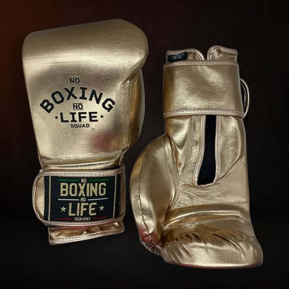 No Boxing No Life Grey Golden Boxing Gloves Beginner Friendly Training 