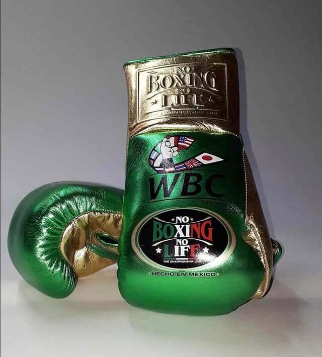 No Boxing No Life Boxing Gloves Green/Gold on Hands Training Action Shot