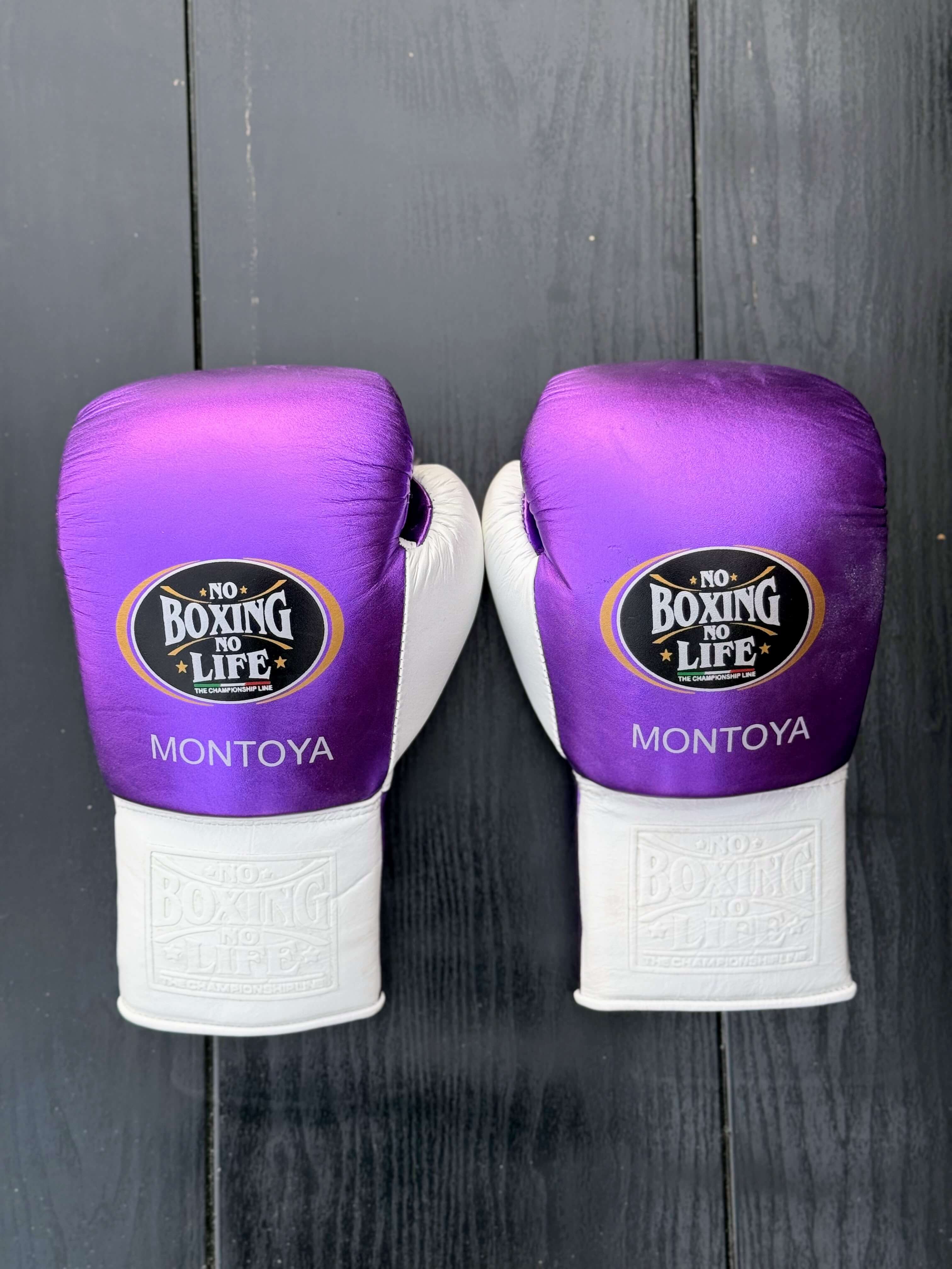 No Boxing No Life Gloves Purple/White Leather Training Gloves Back View