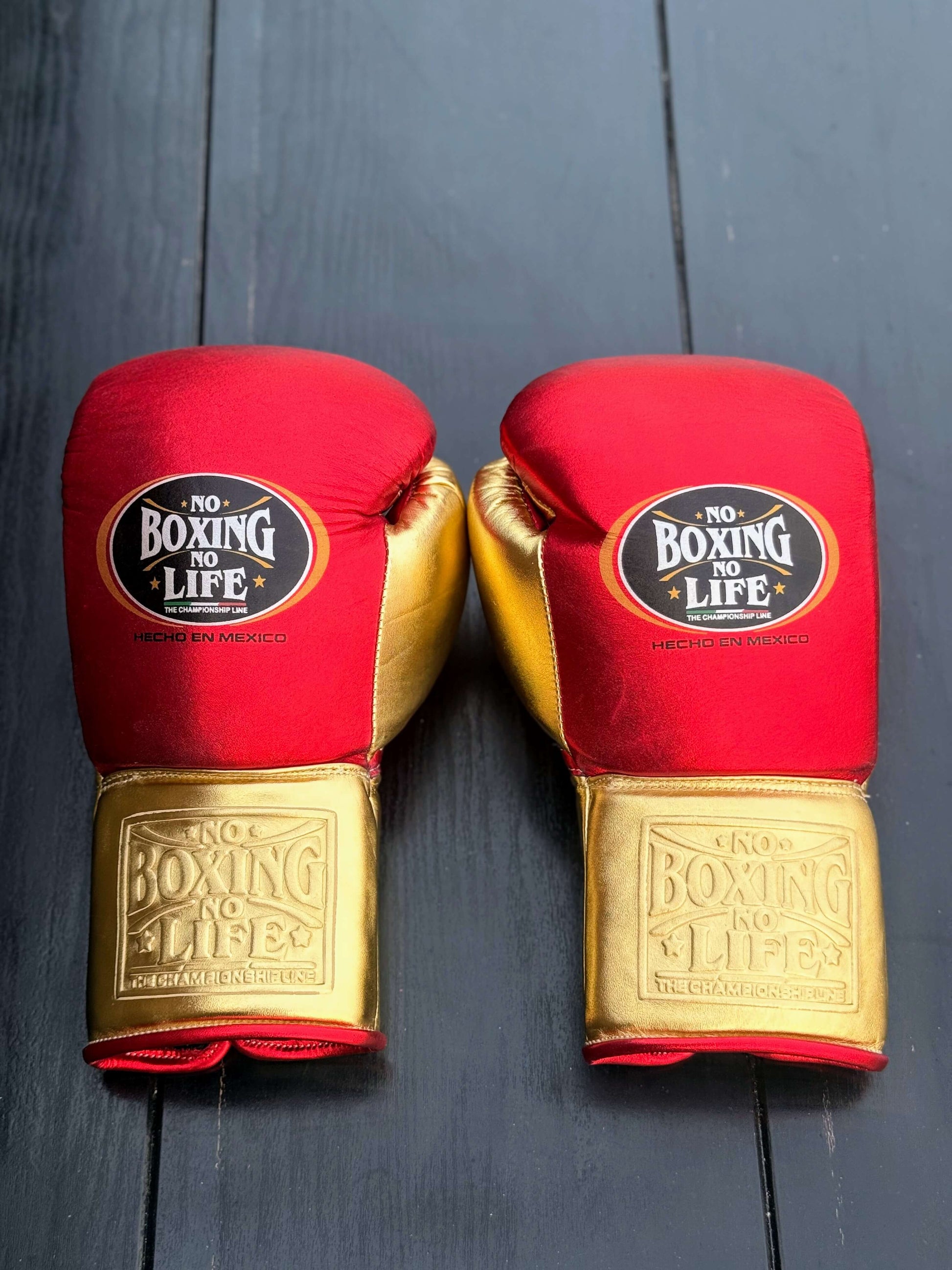 No Boxing No Life Gloves Red/Gold Leather Training Gloves Back View