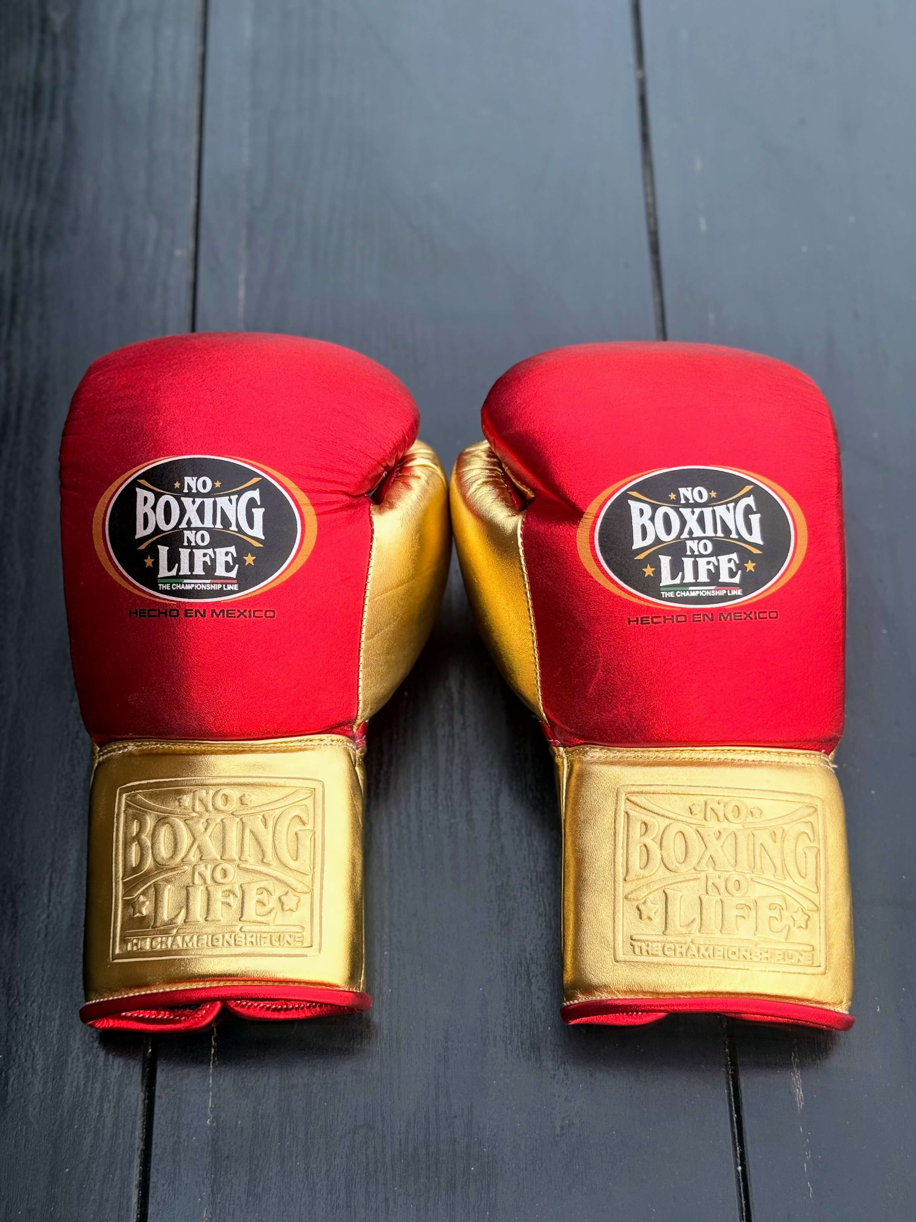 No Boxing No Life Gloves Red/Gold Leather Training Gloves Back View