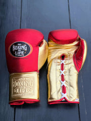No Boxing No Life Gloves Red/Gold Leather Training Gloves Front View