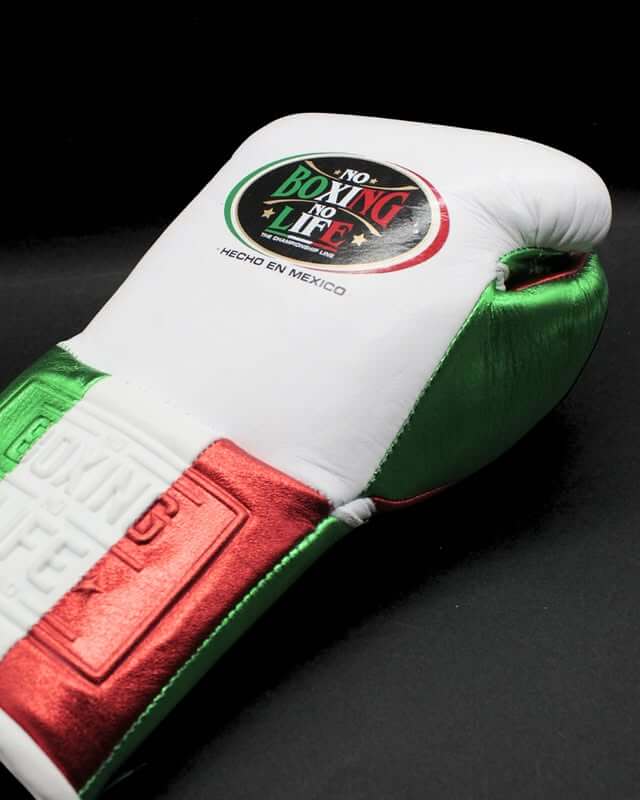 No Boxing No Life White/Green/Orange  Boxing Gloves 14oz Premium Training Gloves