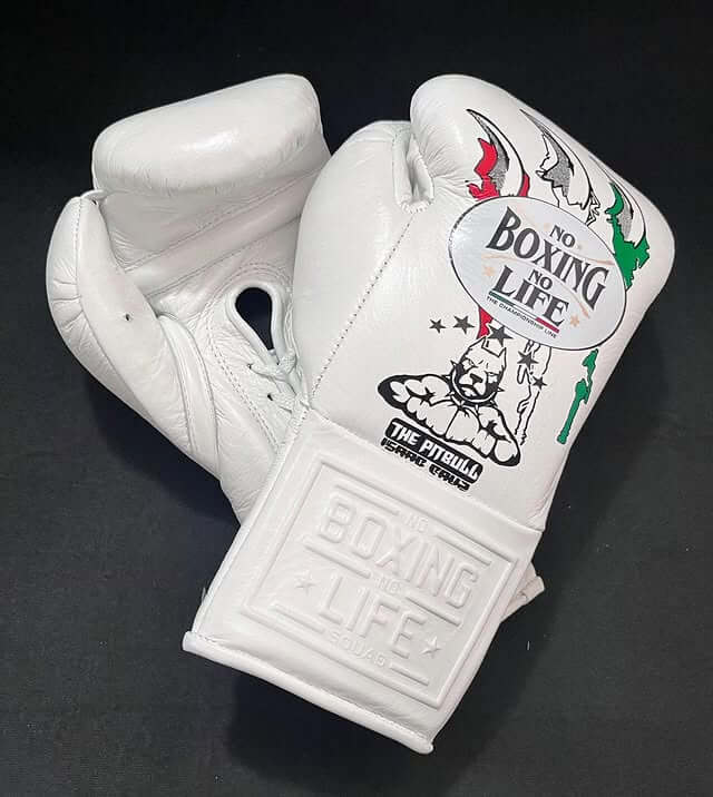 No Boxing No Life White Lace-Up Boxing Gloves Close Up Detail