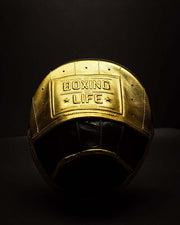 No Boxing No Life Black/Gold Leather Punching Mitts Custom Training Mitts