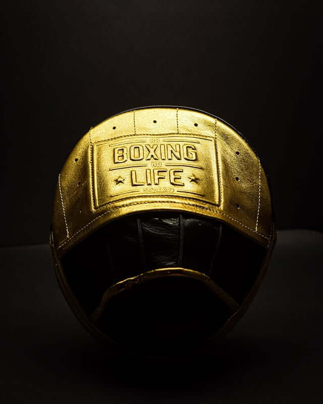 No Boxing No Life Black/Gold Leather Punching Mitts Custom Training Mitts