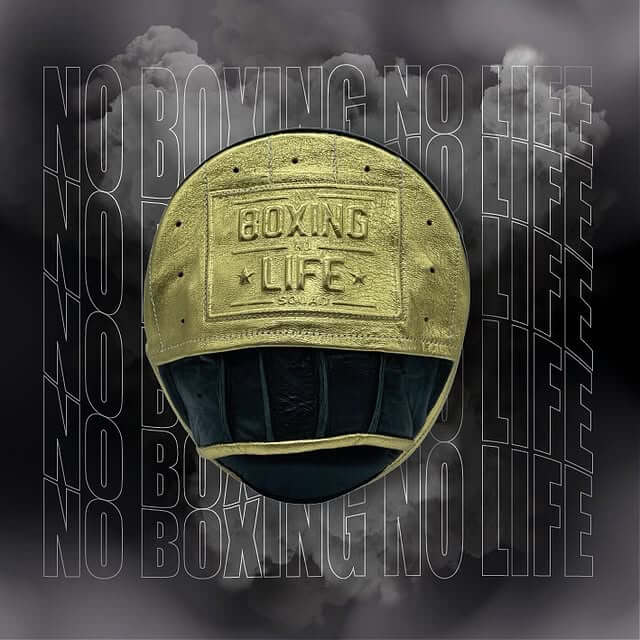 No Boxing No Life Black/Gold Leather Punching Mitts Custom Training Mitts Front View
