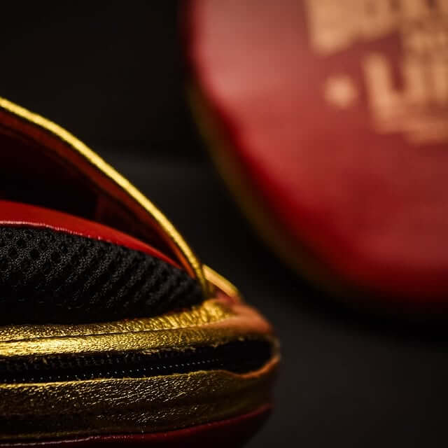 No Boxing No Life Maroon/Gold Punching Mitts High Quality Gym Mitts Side View