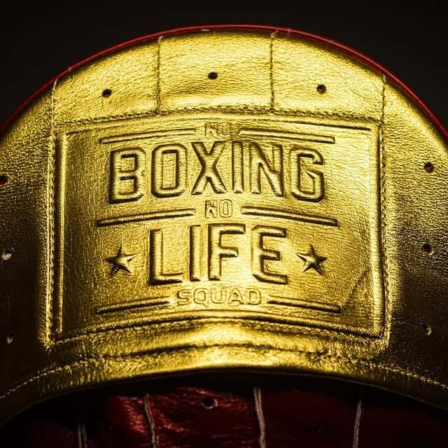 No Boxing No Life Maroon/Gold Punching Mitts High Quality Gym Mitts Close View