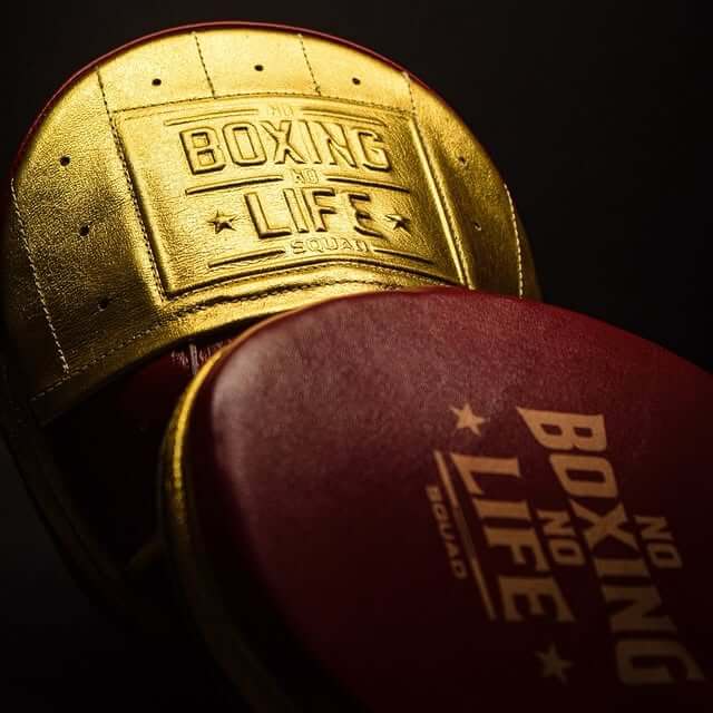 No Boxing No Life Maroon/Gold Punching Mitts High Quality Gym Mitts